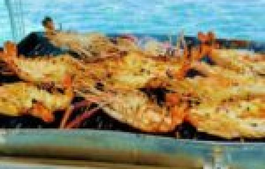 5 Islands speedboat cruise