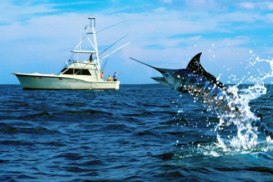 Big Game Fishing
