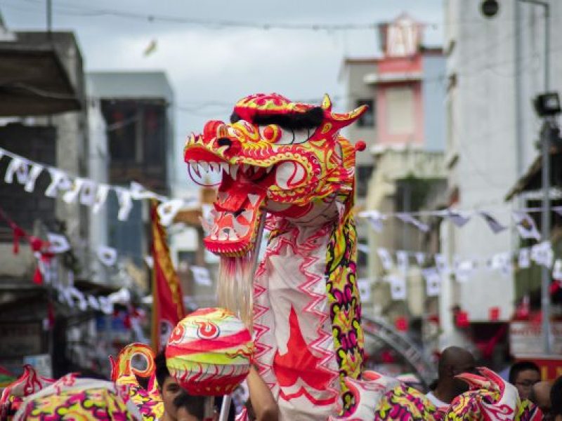 3-Land-Cultures-1-800x600